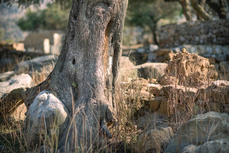 An Old Cemetery in afternoon